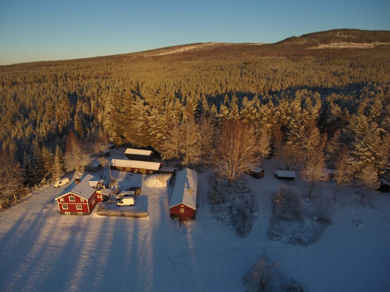 Drone uitzicht van Friluft Sweden met de locatie en bossen op de achtergrond. Hier vindt InnerTrail Sweden plaats