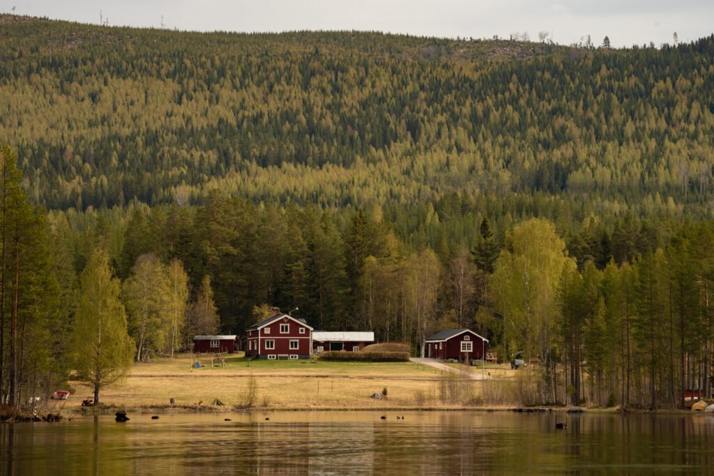 Het gastenverblijf van Friluft Sweden is omringt door bossen en ligt aan het water