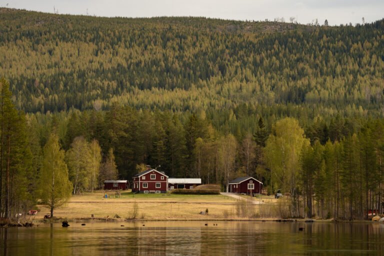 Het gastenverblijf van Friluft Sweden is omringt door bossen en ligt aan het water
