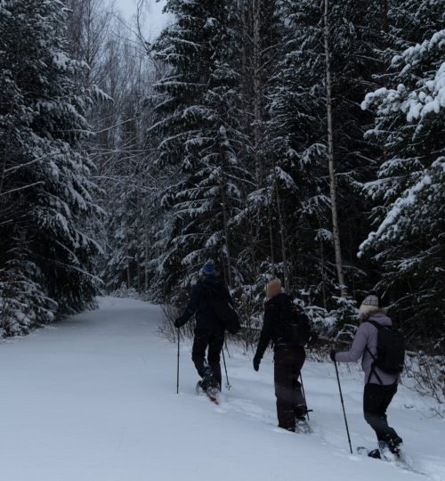Drie deelnemers zijn aan het sneeuwschoen wandelen tijdens de InnerTrail Sweden Trail