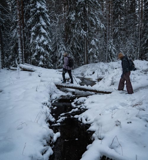 Participants enjoying a snowshoe hike through the snowy landscape surrounding InnerTrail Sweden retreat