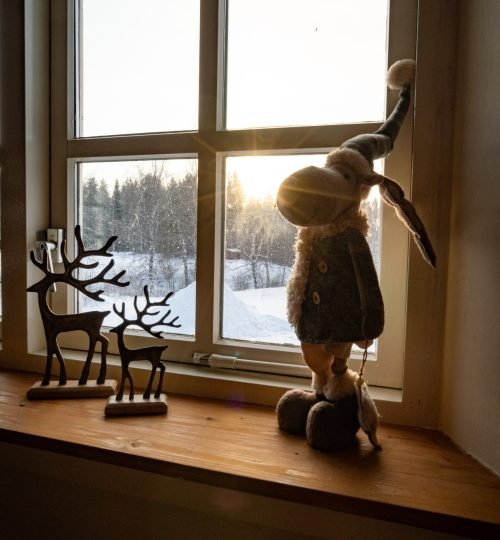 Een winteruitzicht op de sneeuw vanuit Friluft Sweden waar InnerTrail Sweden plaatsvind